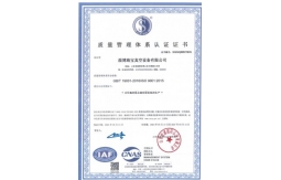 榮譽(yù)證書